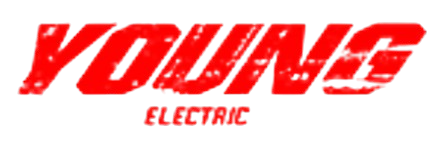 Young Electric Bikes